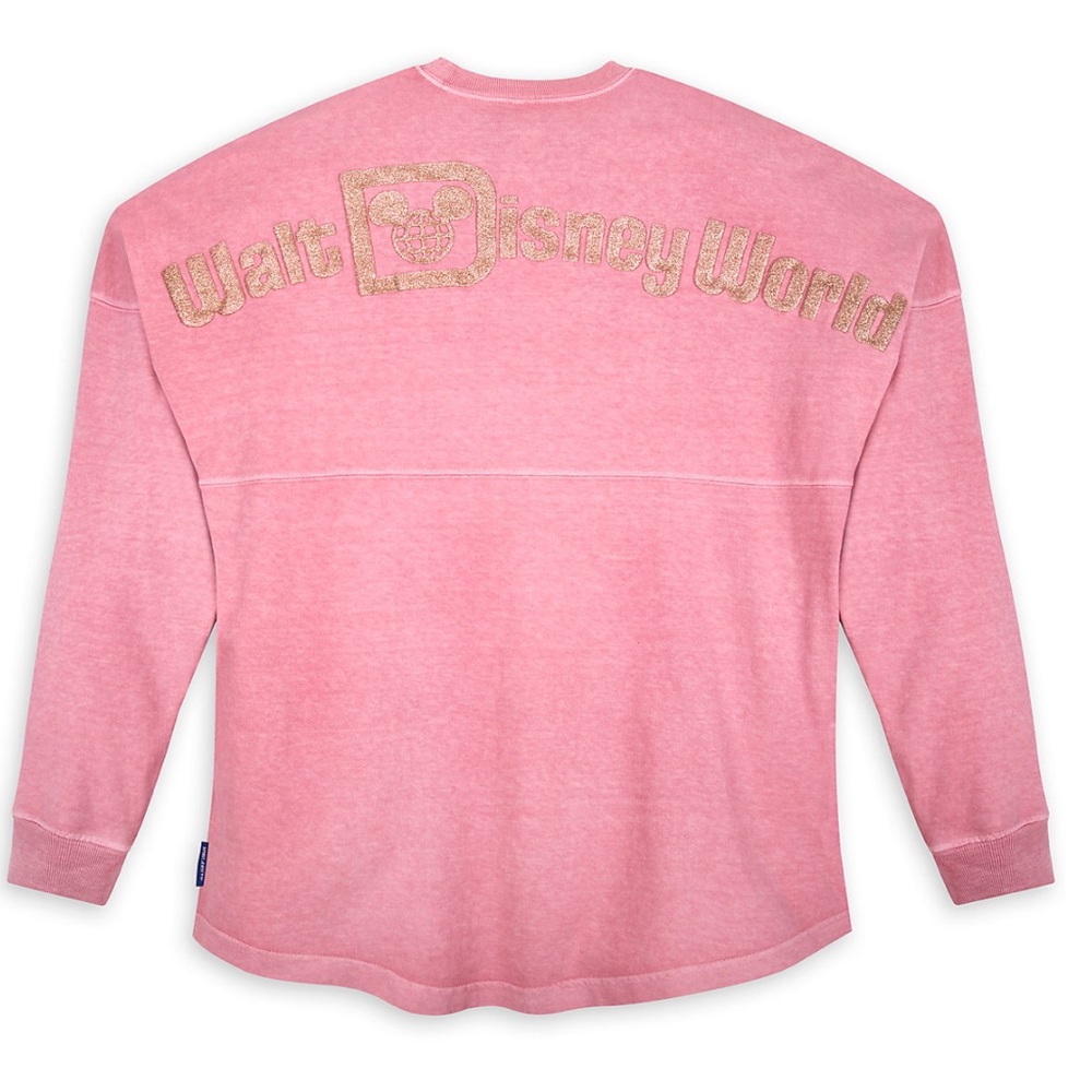 Walt Disney World Spirit Jersey